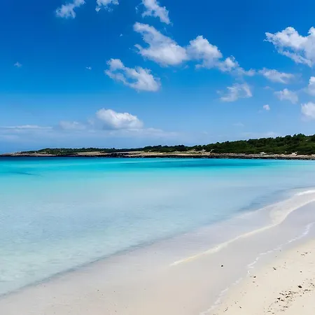 度假居 Casa Sophia 卡拉米洛