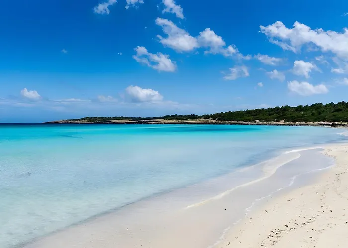 度假居 Casa Sophia 卡拉米洛